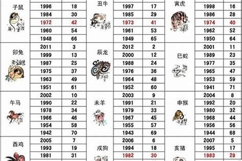 1992年五行|1992年属猴是什么五行是水还是金